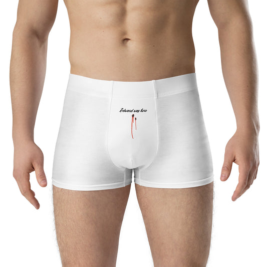 Edward Boxer Briefs